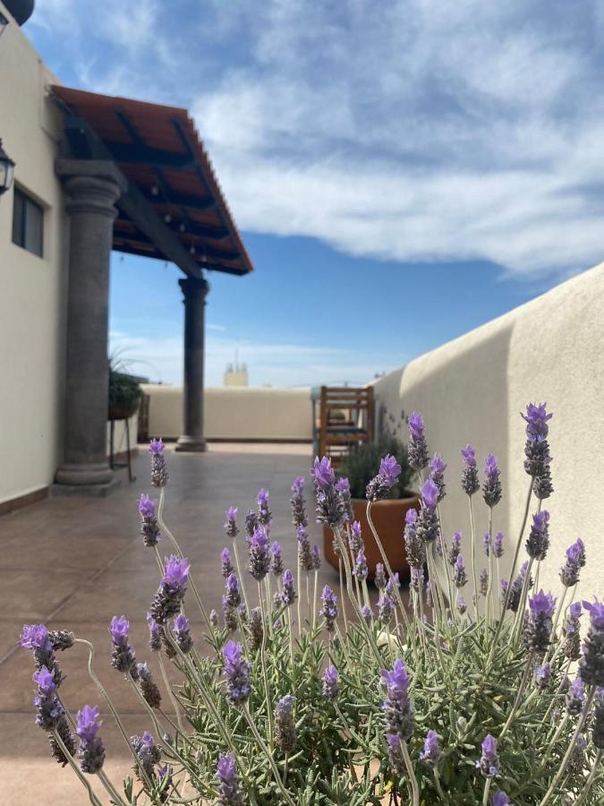 Hotel La Lejona San Miguel de Allende Exteriör bild